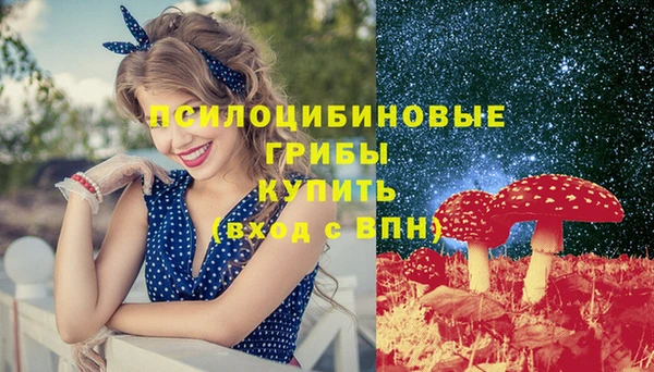 гидропоника Няндома
