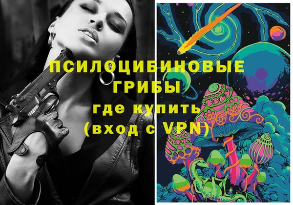 не бодяженный Новодвинск
