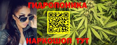 шишки Волгодонск