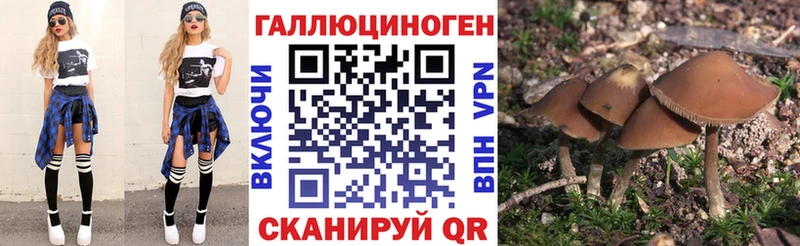 кракен сайт Таганрог Галлюциногенные грибы GOLDEN TEACHER даркнет сайт