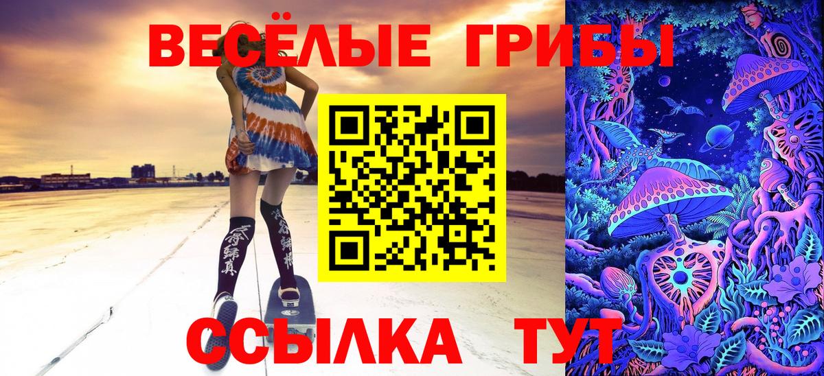 Псилоцибиновые грибы Psilocybine cubensis  Таганрог 