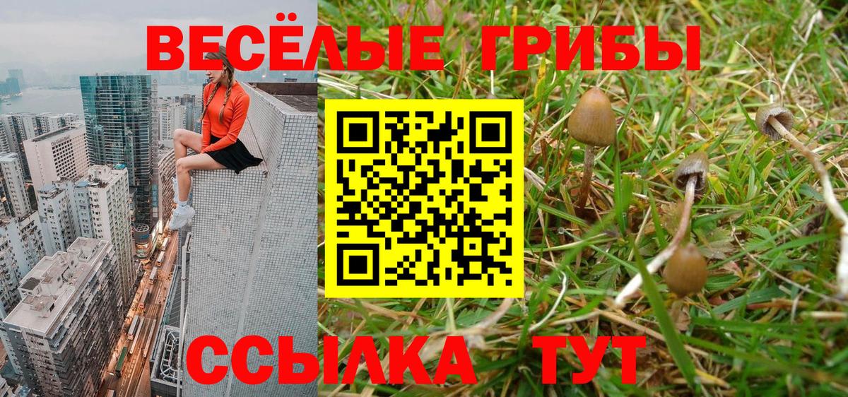 Галлюциногенные грибы MAGIC MUSHROOMS Таганрог